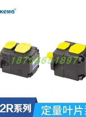 dekema叶片泵PV2R2-26 33 41 47 53 59 65 75-F-1-RUU-40