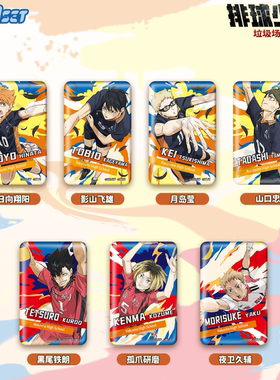 NULLSET正版周边排球少年垃圾场决战定格系列徽章日向飞雄月岛萤