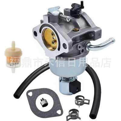 594605 化油器适用于Briggs & Stratton 792768 698620 690194