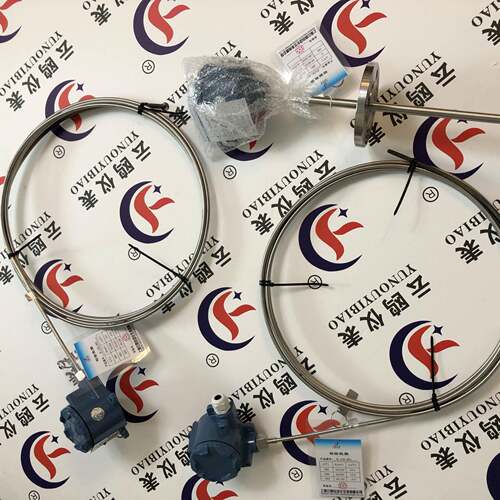WZPK-565WZPK2-238WZPK2-306SA压缩机用补偿导线式铠装热电阻