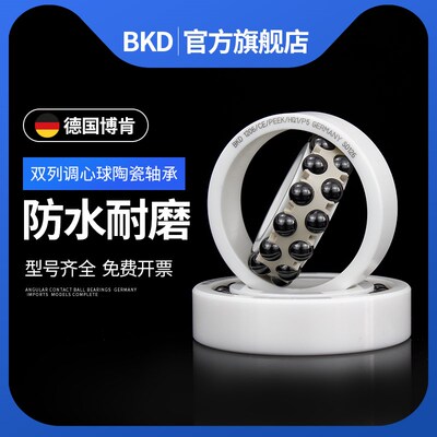 德国BKD进口全陶瓷轴承1304 1305 1306 1307 1308CE/P4 P5