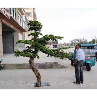 正品彷真展松树迎客松假树商场酒店罗装饰汉松造景落地室内关厅玄