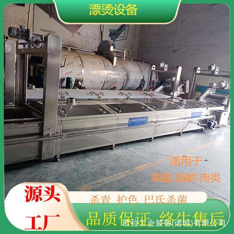 薯条薯片漂烫设备芹菜杀青机全自动漂烫预煮机菠菜预加工设备,清洗/食品/商业设备,其他食品加工设备,淘宝优惠券,粉丝福利购,淘宝优惠卷