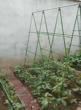 爬藤架种菜架子园艺花架花园阳台花爬架植物豆角黄瓜架葡萄架北秦