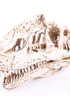 单脊龙头骨树脂恐龙头骨骷髅头动物研究教学创意居家摆件个性摆件