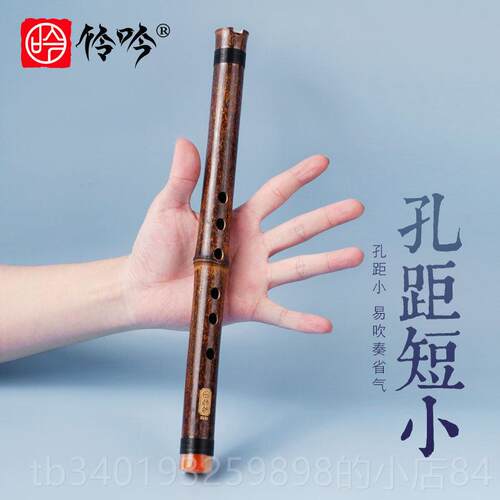 新款初学洞零基础儿调童F紫竹短萧乐器迷便箫携高级六孔G专业E短