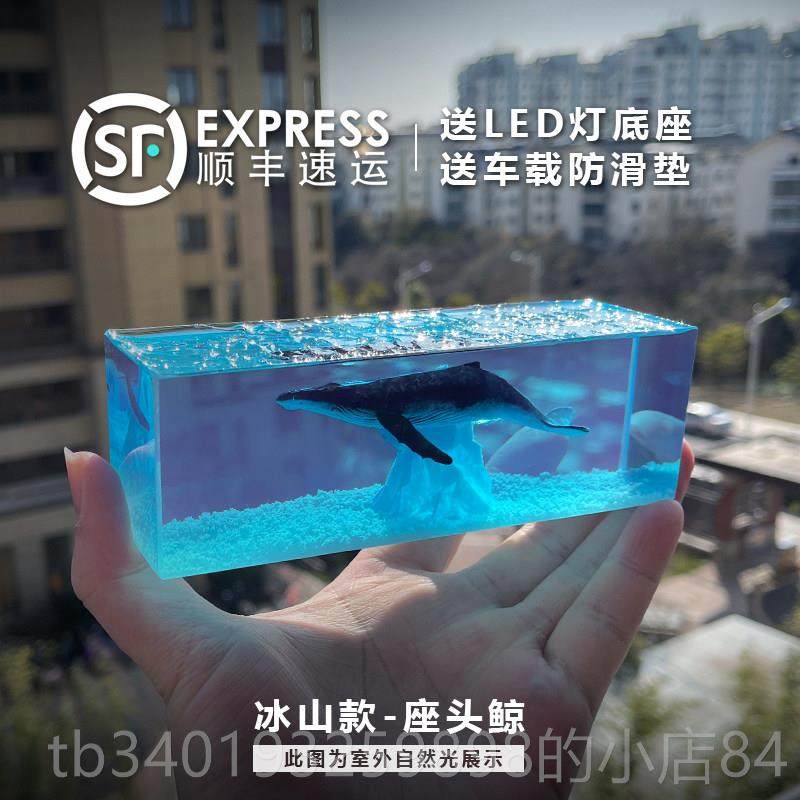 新款AL BLU意E树脂蓝鲸L鱼品鲸鲨滴胶工艺汽车摆件汽车饰创生日礼,饰品/流行首饰/时尚饰品新,摆件,淘宝优惠券,粉丝福利购,淘宝优惠卷