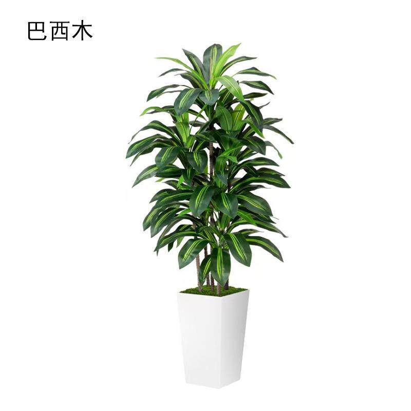 亚马孙热卖仿真巴西铁木假树室内客厅落地装饰摆件大型植物盆栽
