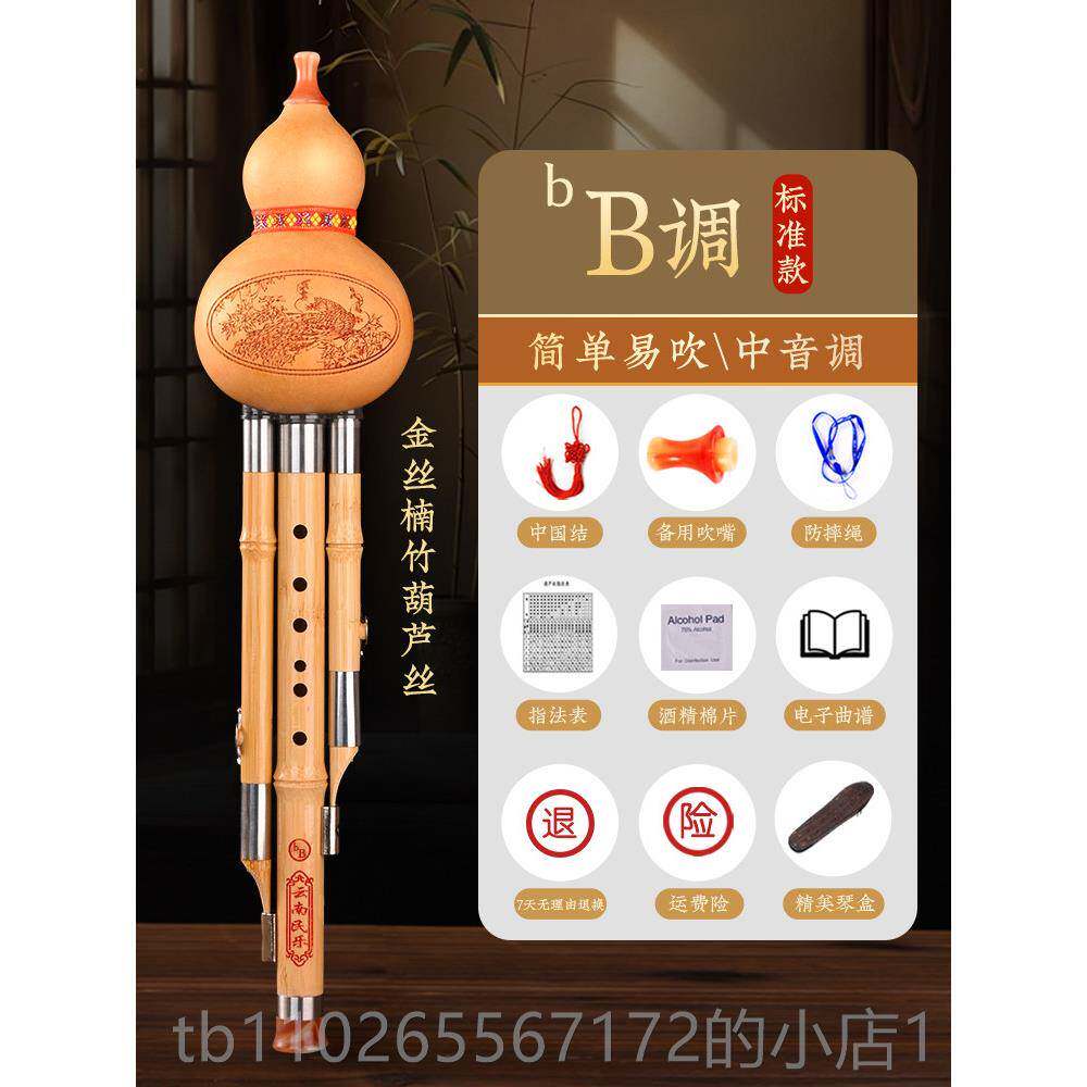 新款天然葫芦丝乐器初学者C调儿童降B防摔小学生专用旗紫竹楠调竹