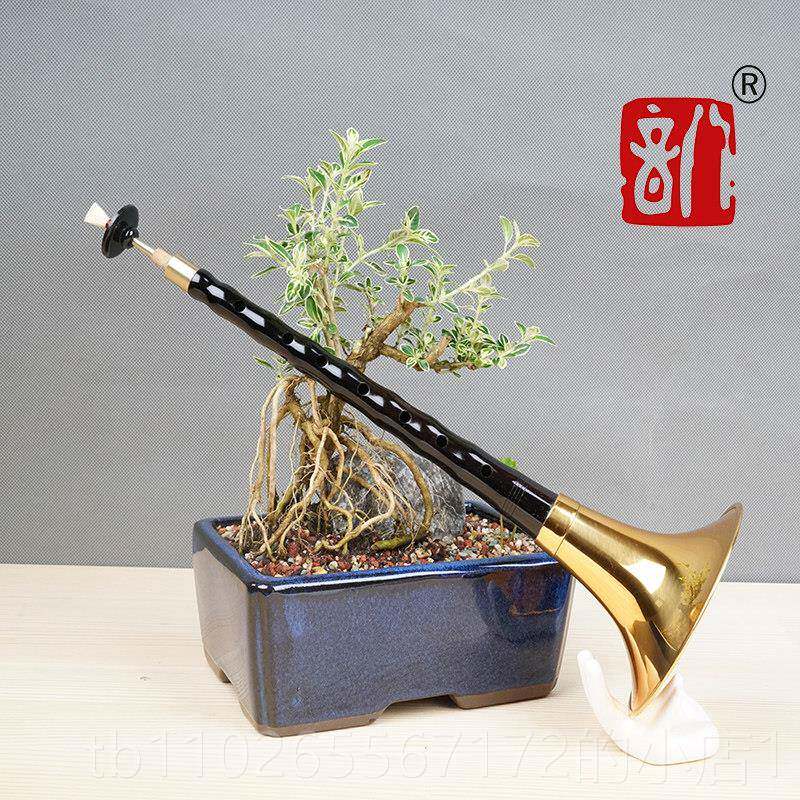 新款八音唢呐学者务专业乐器全喇套乌木初黑檀D调降B红木叭吹服紫