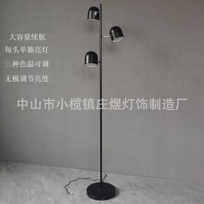 道远亮眼睛北欧风led落地可充电触摸灯 卧室床头客厅沙发现代网红