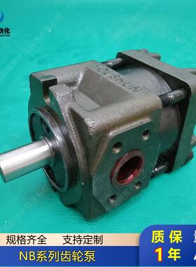 内啮合齿轮油泵NB4-D63FNB5-D80FNB5-D100FNB5-D125F中压泵