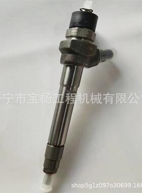 0445110541共轨喷油器04331723510445110821喷油嘴总成