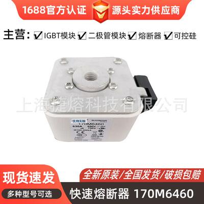 170M6460170M6270快速熔断器保险丝电子元器件量大价优