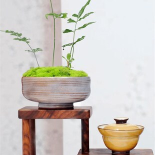 (禅茶一味)禅意小阶梯茶具架北美黑胡桃金瘤纹老料茶杯茶壶架