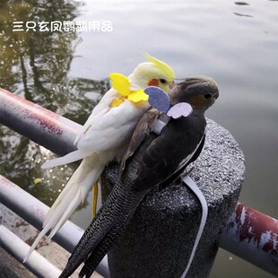 鹦鹉放飞绳背带式鹦鹉外出溜鸟训练绳超轻八哥飞行服飞行绳牵引绳