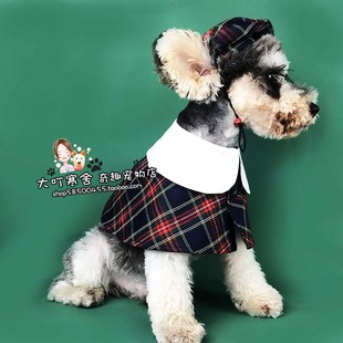 宠物狗狗用品生日帽子风两件套猫狗围脖围巾斗篷口水巾配饰