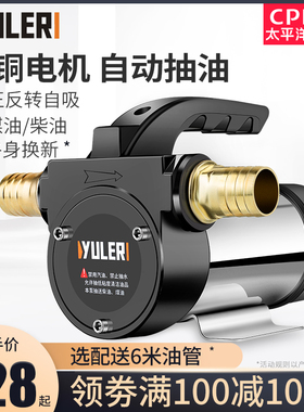 渝乐正反转电动抽油泵柴油12V24V220V直流加油泵手动加油机吸油机
