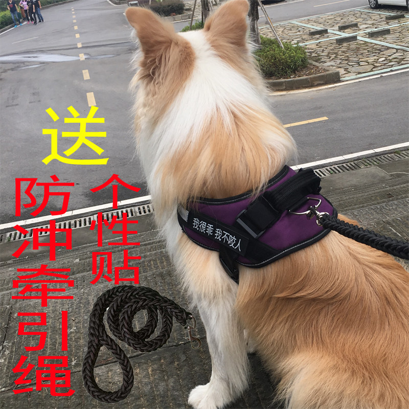 狗狗胸背带拉型犬金毛引大斯加牵阿绳中型犬马犬狗链子遛狗绳项圈