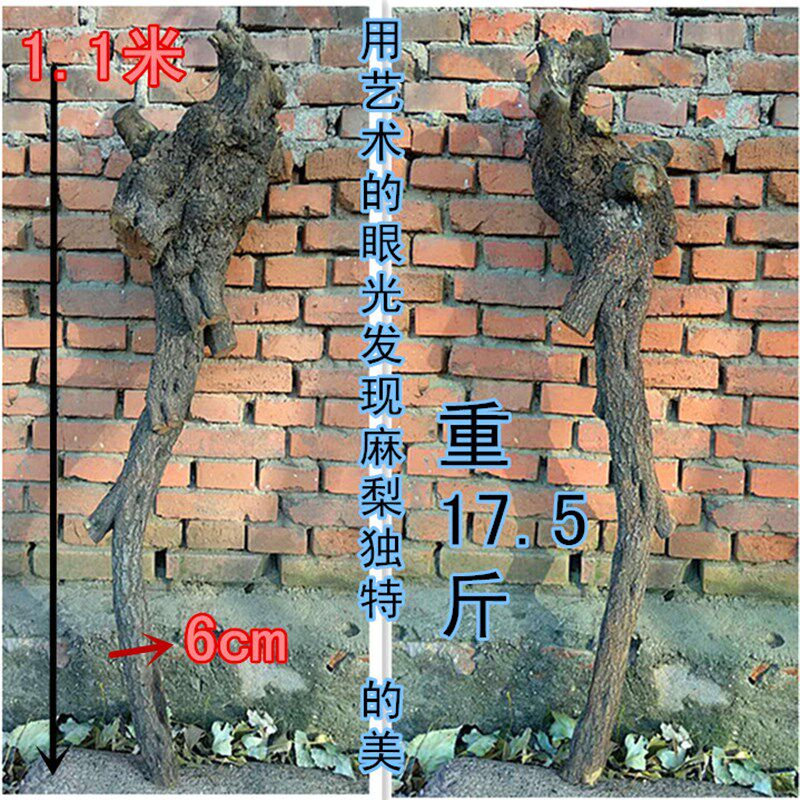 麻梨疙瘩/锤琉璃原料/拐棍/根雕自然原木/手火/硬木/火琉璃/根瘤/
