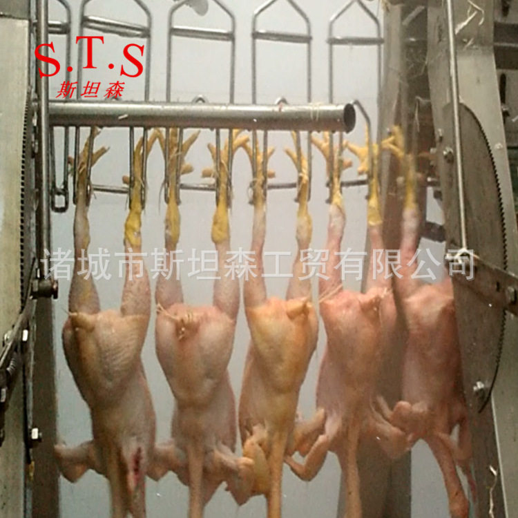 H家禽屠宰流水线报价 厂家设计安装调试  鸡鸭鹅烫毛脱毛流水线