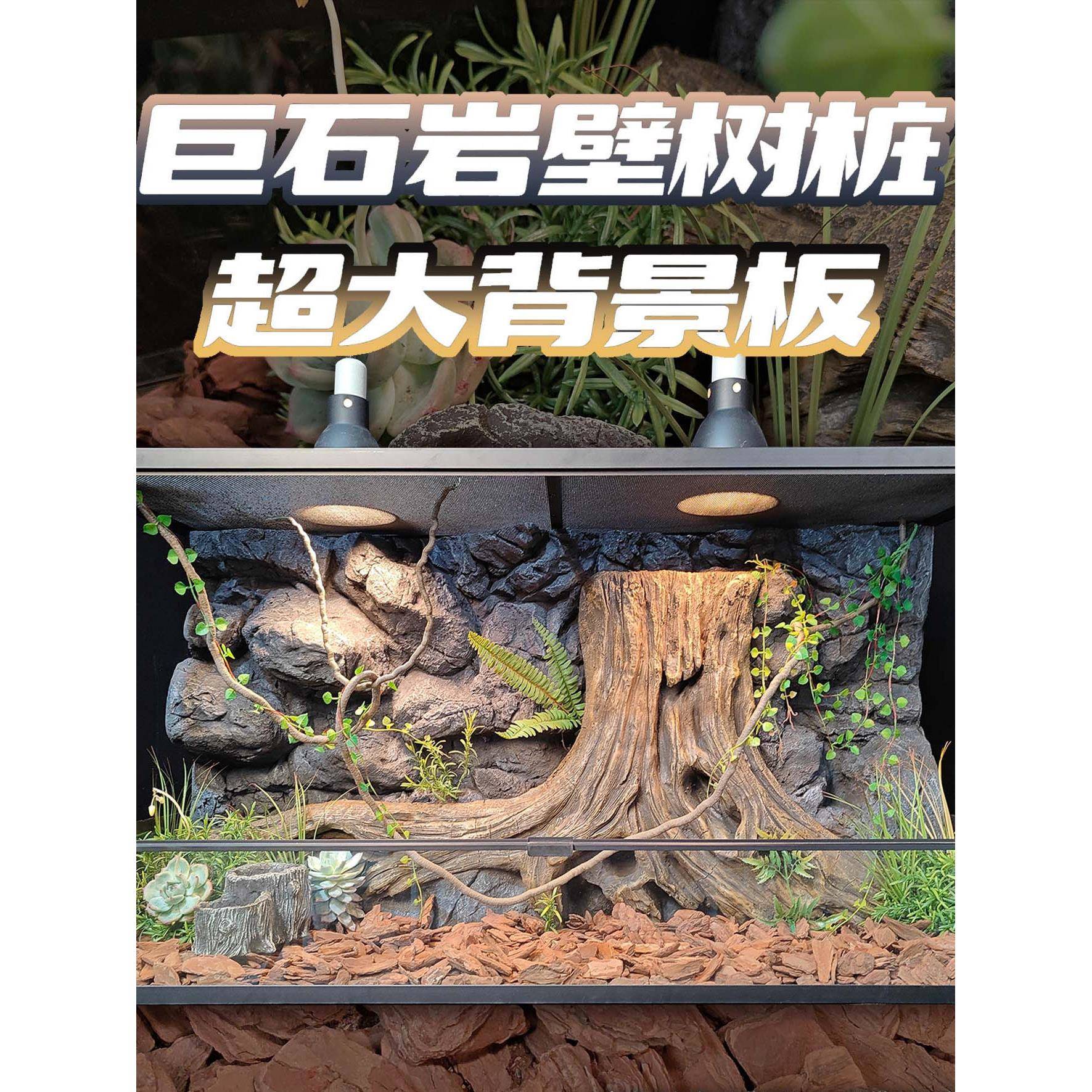 爬宠饲养箱巨石岩壁树桩背景板120*60爬虫缸造景板雨林沙漠