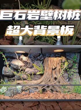 爬宠饲养箱巨石岩壁树桩背景板120*60爬虫缸造景板雨林沙漠