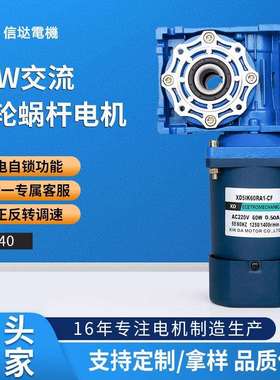 信达工厂直销60W调速电机rv40蜗轮减速箱220v交流大力矩电动马达