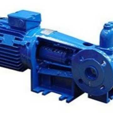 进口原装ROTAN齿轮泵