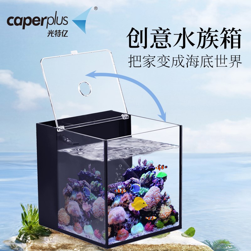 背滤缸迷你生态水草造景小型鱼缸超白玻璃淡海水族桌面客厅