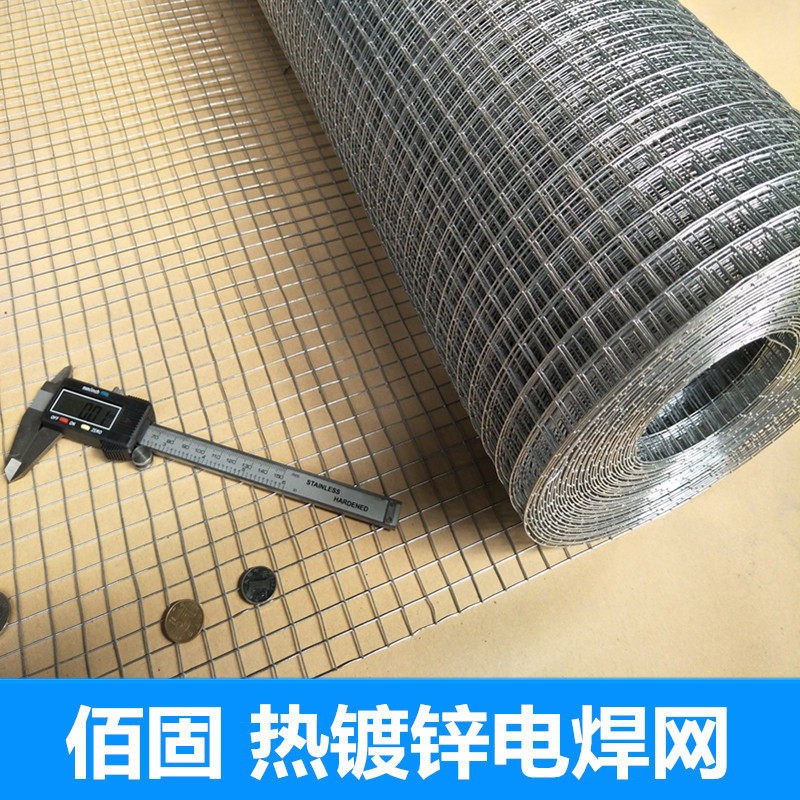 佰固铁丝网围栏养殖网片阳台多肉防护栏鸡鸽兔蛇鸟笼镀锌电焊网格