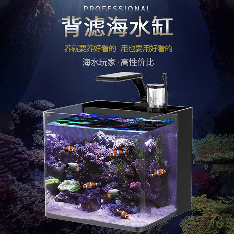 大肚子桌面客厅海水缸全套热弯海水鱼缸水族箱蛋分珊瑚海鱼小丑鱼