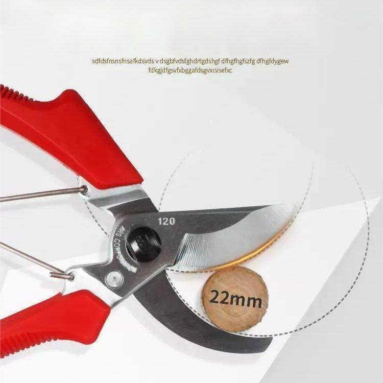 ARS爱丽斯120DX修枝剪 果树省力园艺剪枝剪刀剪花枝剪刀园林剪刀