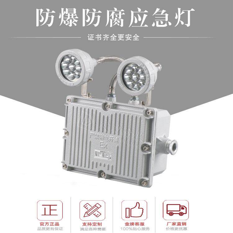 厂家LED双头防爆应急灯12V24V2×5W2×10W应急90分120分180分