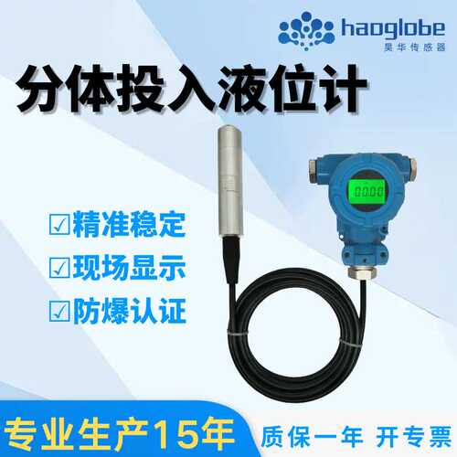 HPT-34分体投入式液位变送器扩散硅水位计RS485水防爆传感器数显