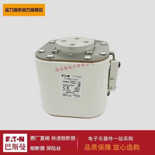 熔断器170M7239 170M7240 170M7241 170M7242 170M7244 170M7245