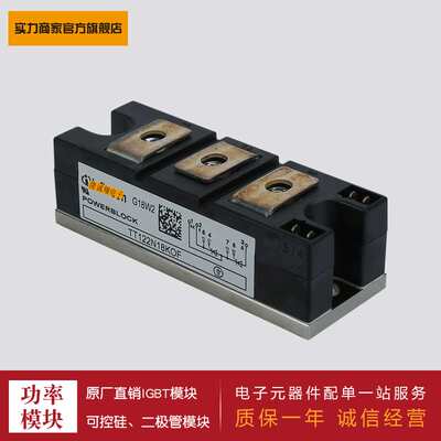 供应 功率可控硅模块 TT131N12KOF  TT131N14KOF  TT131N16KOF