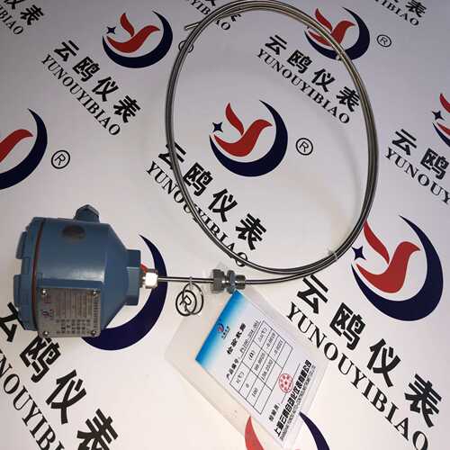 WZPK2-566铠装薄膜铂热电阻WZPK-338WZPK2-405SA