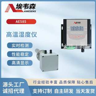 高温烟气湿度仪纺织定型印染涂布烘干蒸化机配套耐温200℃不锈钢