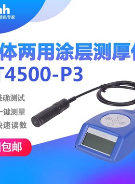 3nh涂层测厚仪分体铁铝两用膜厚仪汽车油漆涂层测厚计YT4500-P1
