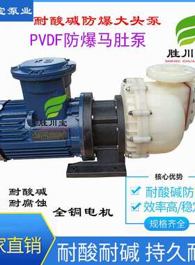 胜川宝4KW PVDF防爆大头泵 马肚泵 污水泵 氟塑料自吸泵50052