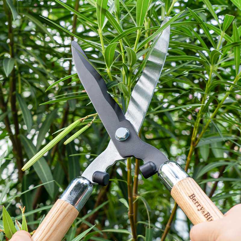 园艺森林绿篱剪草坪修剪果树大剪刀家用园林绿化带专用