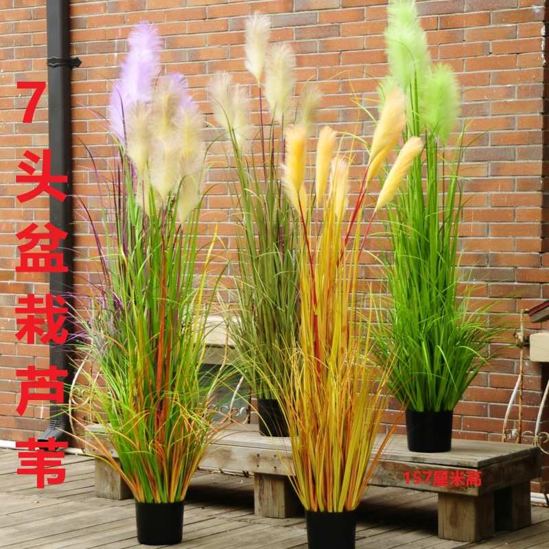 芦苇盆栽假花蒲苇干花客厅人造花落地插花ins风装饰仿真花