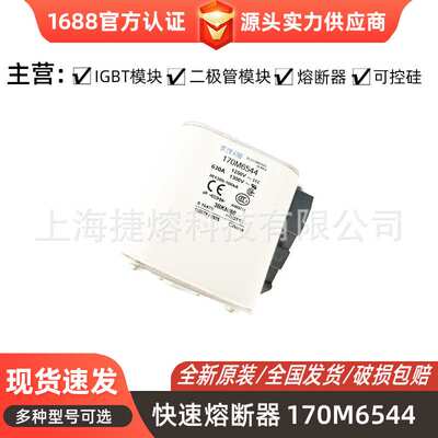 170M6544 170M6546 170M6548 低压熔断器 电子元器件 库存充足