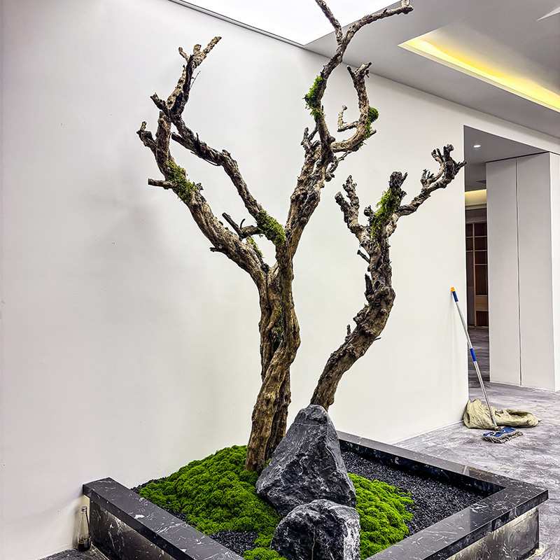 仿真枯树枝天然原木造景植物室内高端绿植装饰树大型假树简约景观