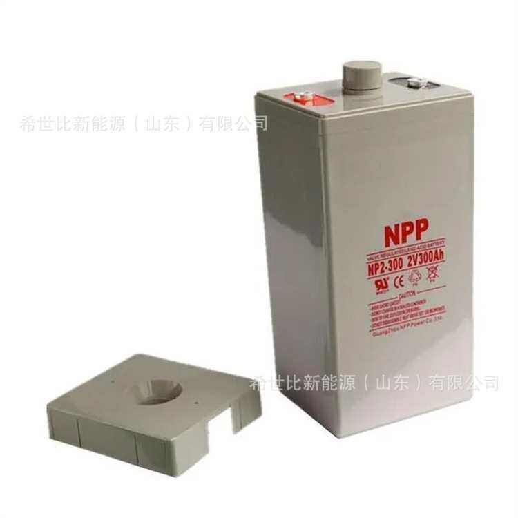 耐普蓄电池NP2-300电信控制系统NPP2V300AH厂家现货参数规格型号