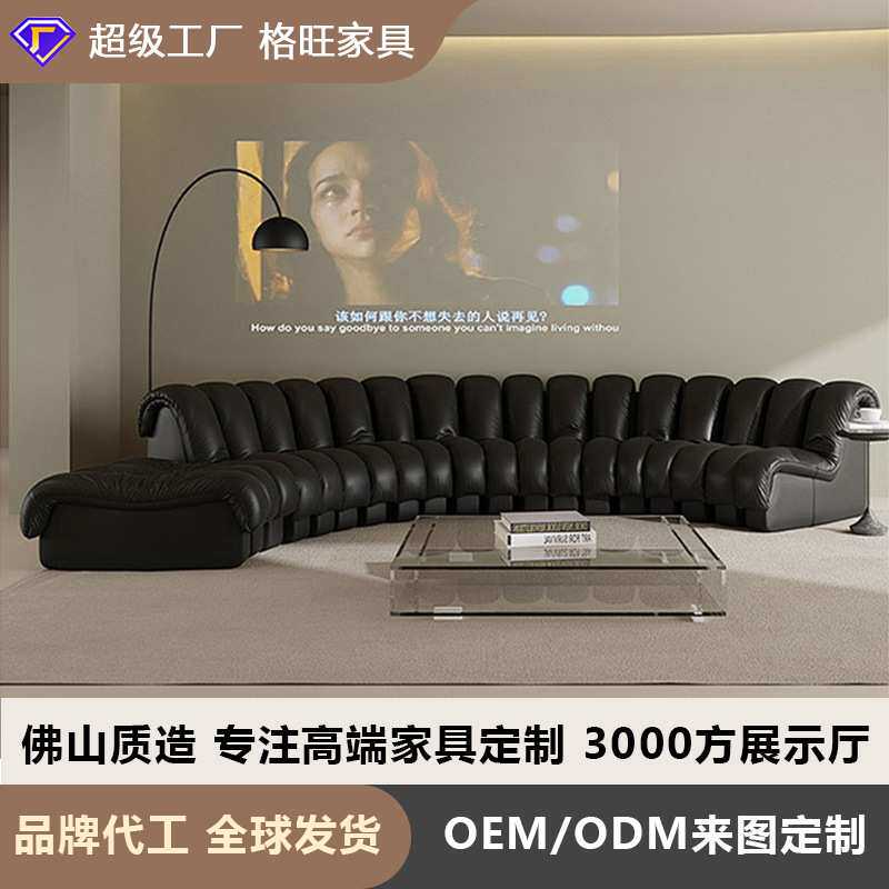 蛇形沙发真皮意式弧形皮沙发现代简约S形皮艺模块组合大户型沙发