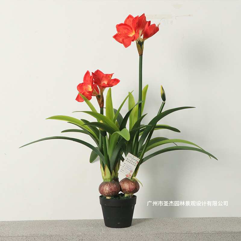 仿真绿植仿真朱顶红 家居室内拍摄装饰绿植 厂家 落地盆栽绿植