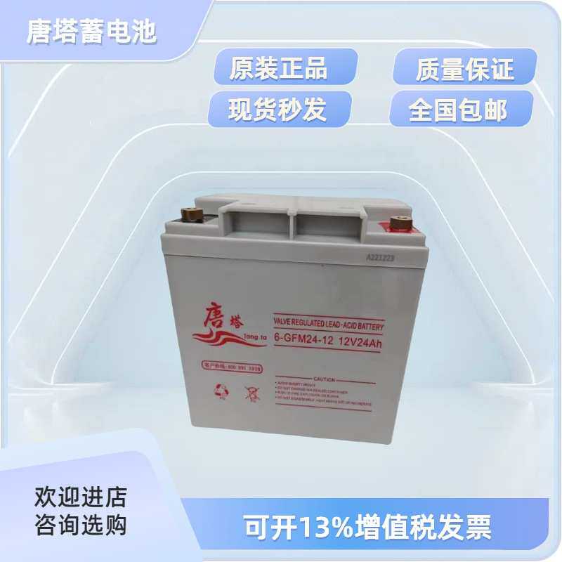 唐塔免维护铅酸蓄电池 6-GFM24-12 12V24AH EPS/UPS直流屏电源用