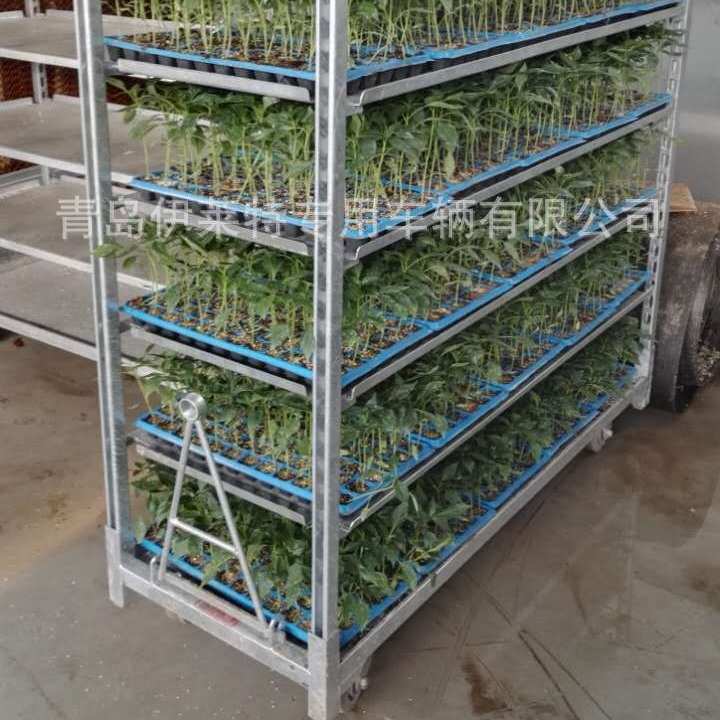 厂家直销荷兰花车，花卉层车，花园工具台车， 拉板网育苗车